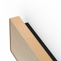 Loa Soundbar Bang & Olufsen Beosound Stage