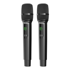 Loa Paramax HOMI 601 Smart