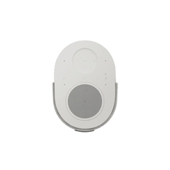 Loa Bose Lifestyle Ultra Speaker