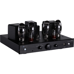 Amply Cary Audio SLI-100