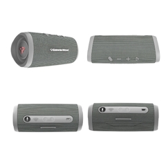 Loa Cerwin Vega Mini