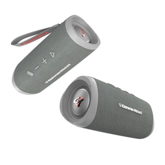 Loa Cerwin Vega Mini