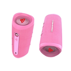 Loa Cerwin Vega Mini