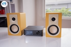 Combo loa Dali Kupid + WiiM Amp Ultra