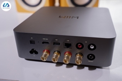 Combo loa Dali Kupid + WiiM Amp Ultra