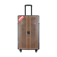 Loa Dalton TS-12G380N chính hãng, kèm 2 micro không dây