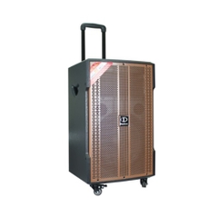 Loa Dalton TS-12G380N chính hãng, kèm 2 micro không dây