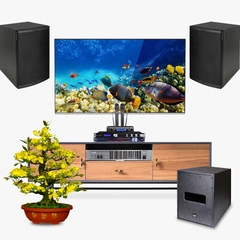 Dàn karaoke LA026 (Bộ loa SE M-F3 + JBL KX180A + JBL VM300 + Kiwi S803)