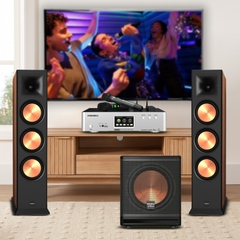 Dàn karaoke LAVIP1 (Loa Paramax Euro 803 Limited + amply Euro A700 + Sub-A30)