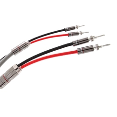 Dây loa Atlas Ascent