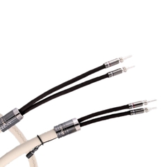 Dây loa Atlas Asimi Luxe