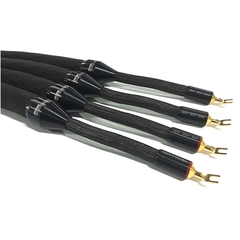 Dây Tara Labs The Grand Master Evolution (8FT)