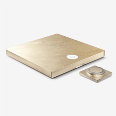 Amply Devialet Astra