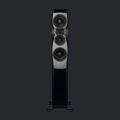Loa Dynaudio Confidence 30