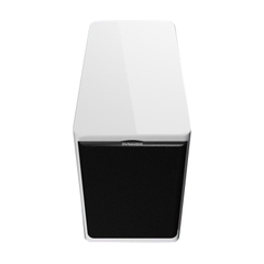 Loa Dynaudio Focus 10