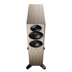 Loa Dynaudio Focus 30