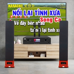 Dàn karaoke LAVIP5 (Loa Aucus Diva 821 + amply LSPro MK990 Pro)