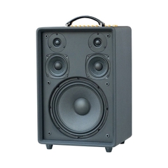 Loa Acnos High Fidelity Pro