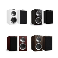 Loa Kef R300