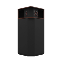 Loa Klipsch Klipschorn AK7