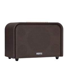 Loa karaoke Acnos Acoustic 3