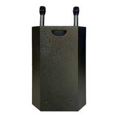 Loa Acnos CB4800Plus