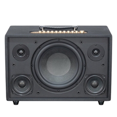 Loa Acnos CS3800 Pro