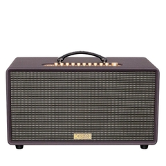 Loa Acnos Flac 36 Ver2