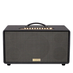 Loa Acnos Flac 36 Ver2