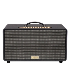 Loa Acnos Flac 36 Ver2