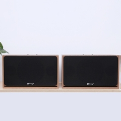 Loa Arirang Jant VIII