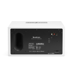 Loa Audio Pro Addon C10 MKII