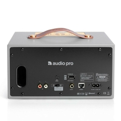 Loa Audio Pro Addon C5