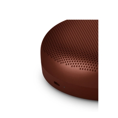 Loa Bang & Olufsen Beosound A1 3rd