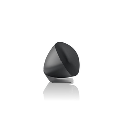 Loa Bowers & Wilkins Zeppelin Pro Edition