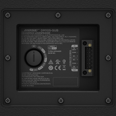 Loa Bose DesignMax DM10S