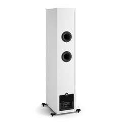 Loa Dali Callisto 6 C