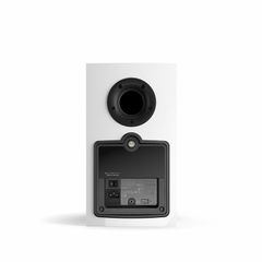 Loa Dali Rubicon 2 C