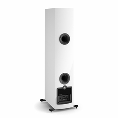 Loa Dali Rubicon 6 C