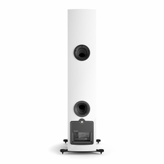 Loa Dali Rubicon 6 C