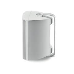 Loa Focal Outdoor 100 OD8