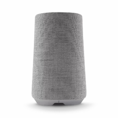 Loa Harman Kardon Citation 100