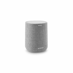 Loa Harman Kardon Citation One