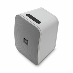 Loa JBL Control X Wireless