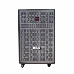 Loa Acnos CB405G