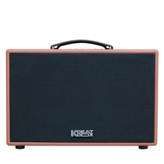 Loa Karaoke mini xách tay ACNOS CS200PU