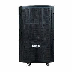 Loa ACNOS CB302G