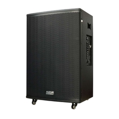 Loa Acnos AUCUS AK1000