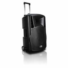 Loa AudioFrog Pro P15