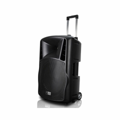 Loa AudioFrog Pro P15